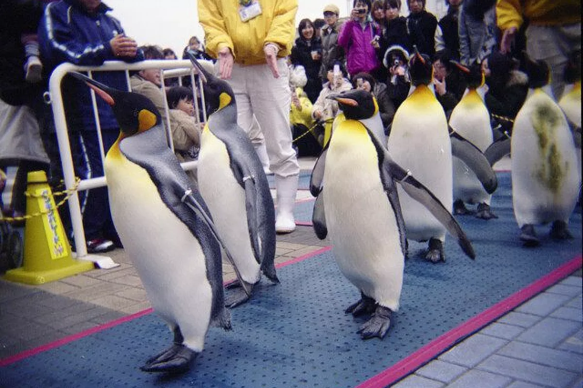 Capodanno a Tokyo