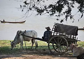 turistipercaso myanmar-1c8xp