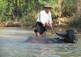 turistipercaso myanmar-mn96v