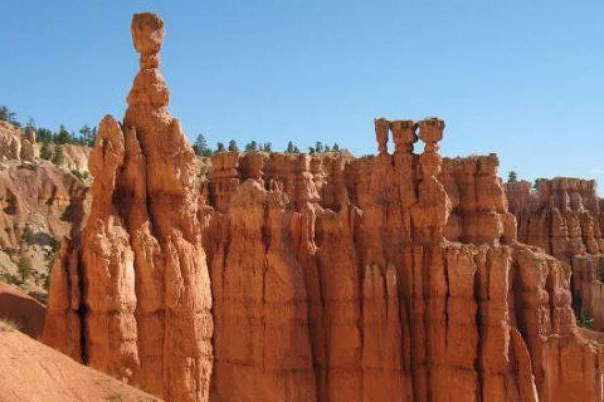 San Francisco – National Park – New York… quasi tutta on the road