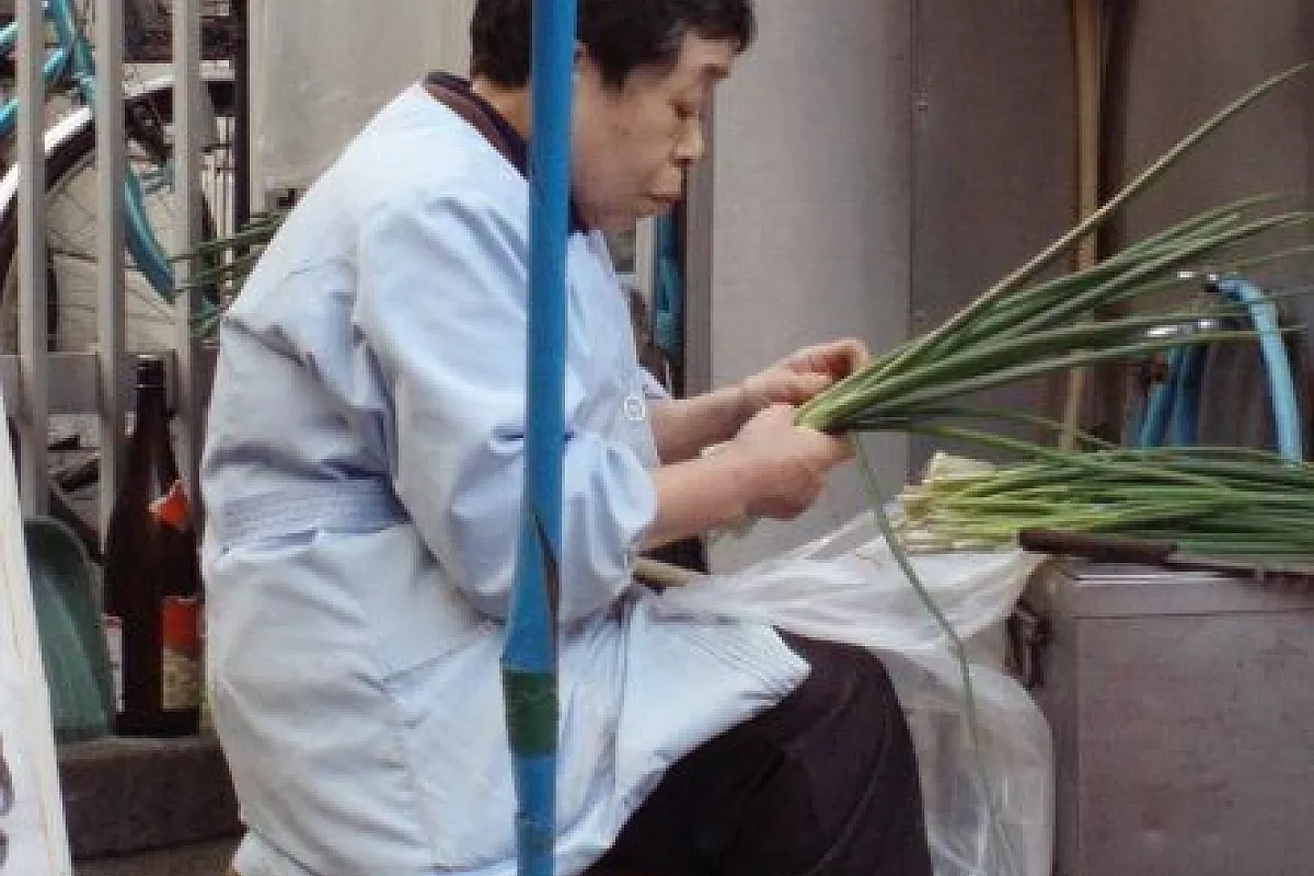 Kyoto,Nara,kanazawa,Takayama e tokyo
