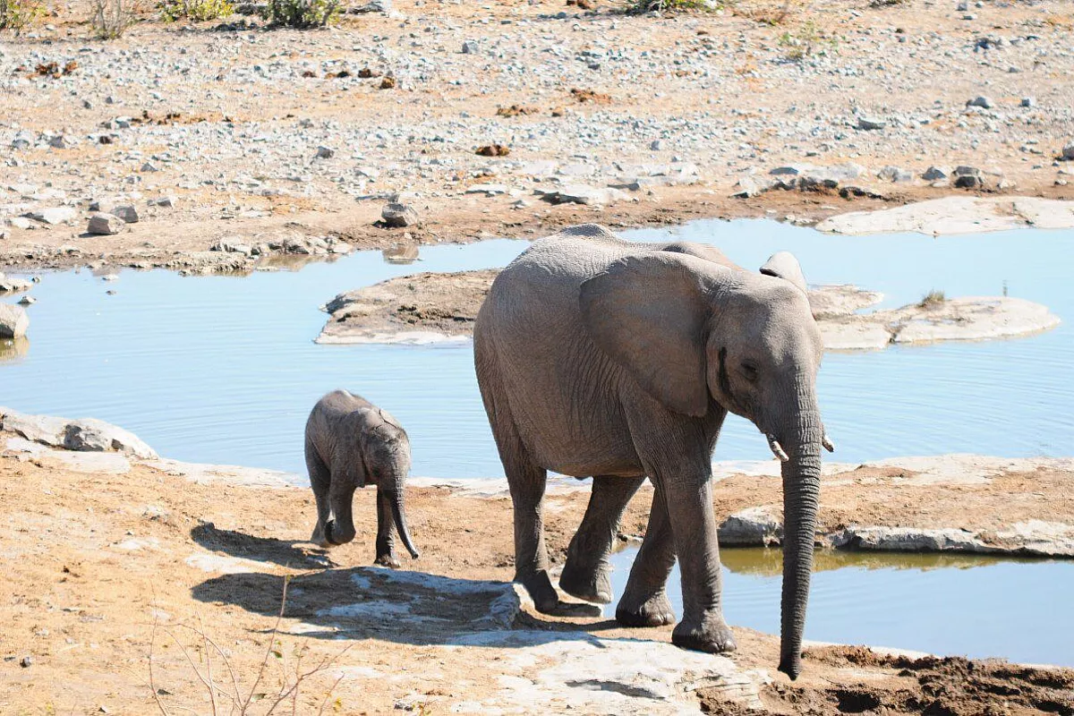 Etosha