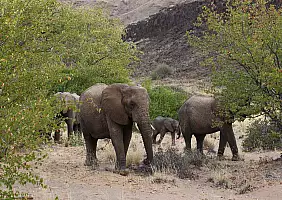 turistipercaso namib-nvycm