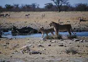 turistipercaso namibia-2efkg