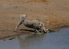 turistipercaso namibia-2k4nf
