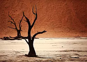 turistipercaso namibia-2ud75