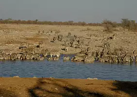 turistipercaso namibia-38t16