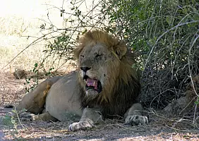 turistipercaso namibia-3e8ms