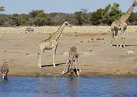 turistipercaso namibia-48s7g
