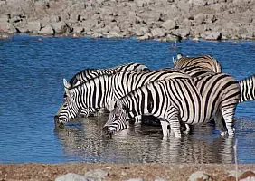 turistipercaso namibia-5b242