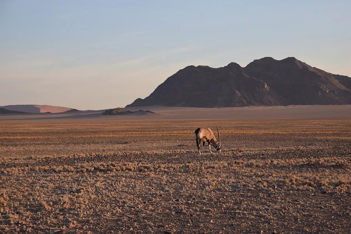 Namibia nel cuore