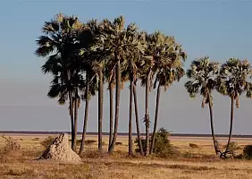 turistipercaso namibia-5jmzp