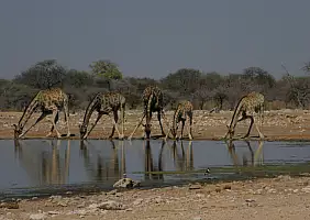 turistipercaso namibia-64z6x