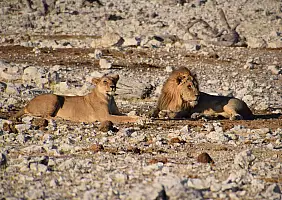 turistipercaso namibia-6bp94