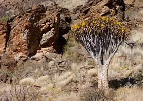 turistipercaso namibia-6mf9j