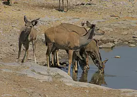turistipercaso namibia-6pumu
