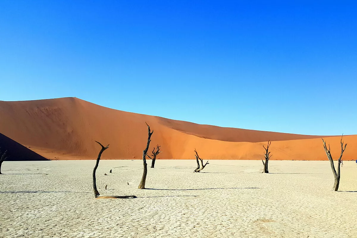 deadvlei