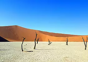 turistipercaso namibia-73cte
