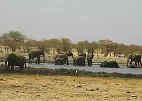 turistipercaso namibia-8g6q6