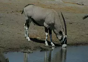 turistipercaso namibia-8n2rh