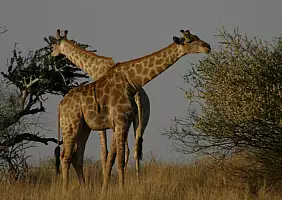 turistipercaso namibia-9hyu4