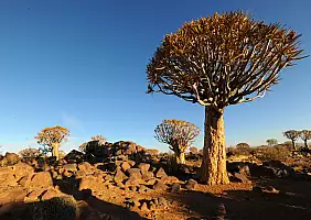 turistipercaso namibia-9js91