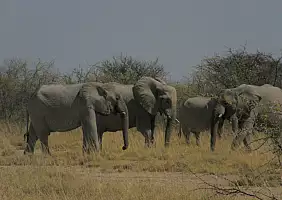 turistipercaso namibia-arhja