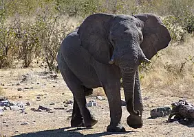 turistipercaso namibia-b7br5