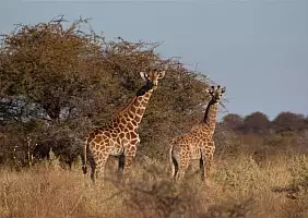 turistipercaso namibia-bgzrp