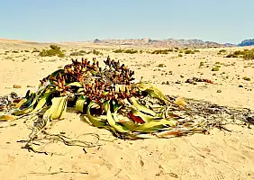 turistipercaso namibia-bpw2k