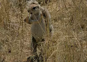 turistipercaso namibia-c2nb3