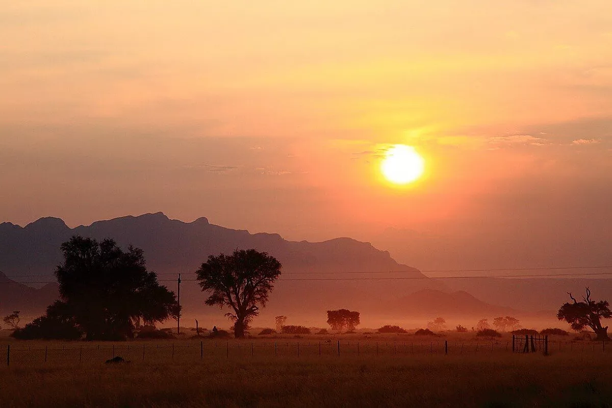 Alba D'Africa