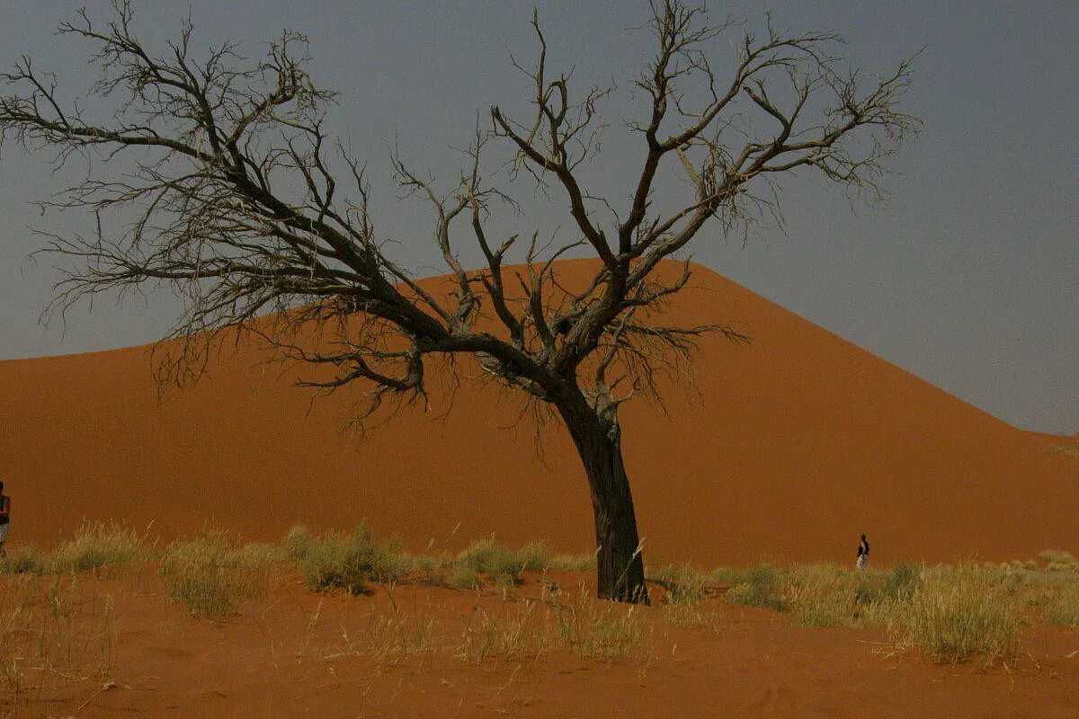 deserto Namib