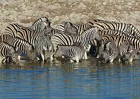 turistipercaso namibia-d6wxd