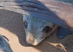 turistipercaso namibia-defe3