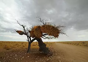 turistipercaso namibia-dgumu