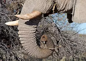 turistipercaso namibia-e7jcd