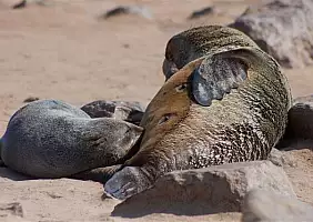 turistipercaso namibia-ebgrz
