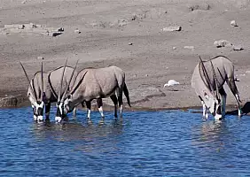turistipercaso namibia-efs4q