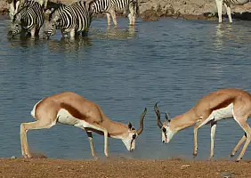 turistipercaso namibia-euvxq
