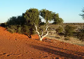 turistipercaso namibia-hrzhc
