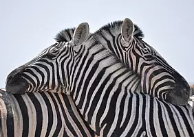 turistipercaso namibia-jvw3k