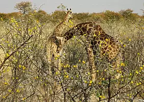 turistipercaso namibia-jznht