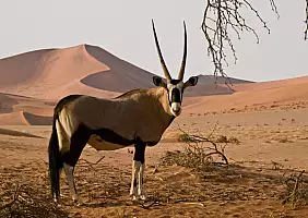 turistipercaso namibia-kwyzt