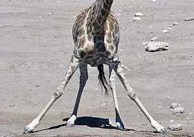 turistipercaso namibia-mcr2p