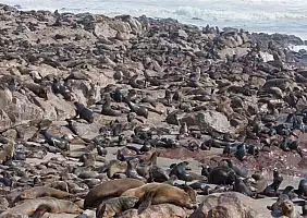 turistipercaso namibia-nftfq