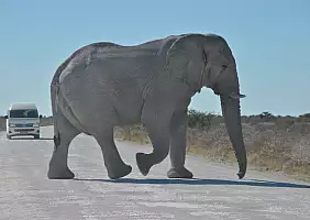 turistipercaso namibia-nzfnq
