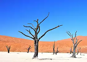 turistipercaso namibia-p1rrr