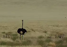 turistipercaso namibia-qnc8x