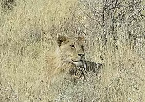 turistipercaso namibia-qzm4x
